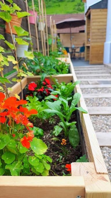 Le Physalis Confort Holiday home *